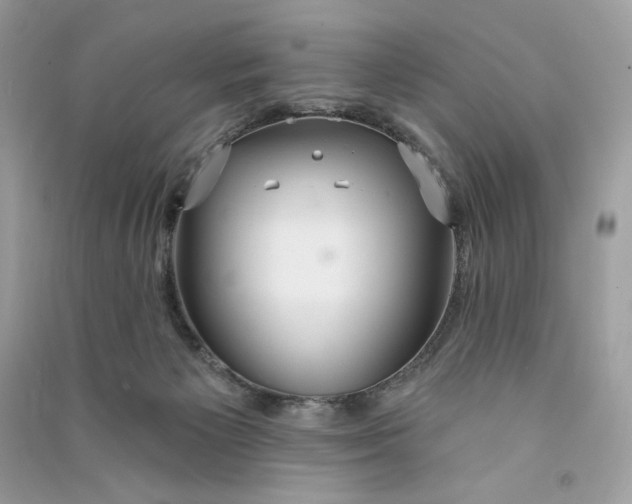 X0000090770125200708101818