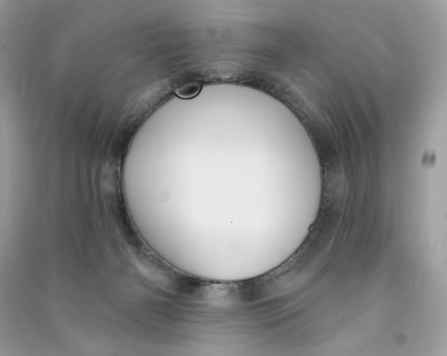 X0000090770126200708101818