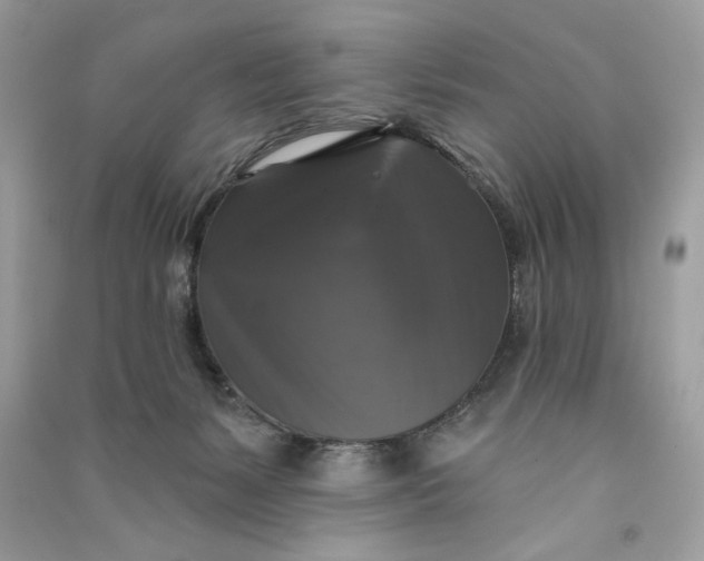 X0000090770127200708101818