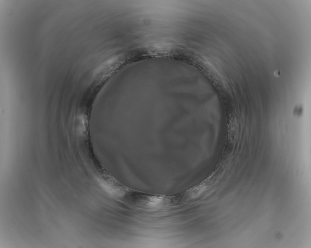 X0000090770130200708101818