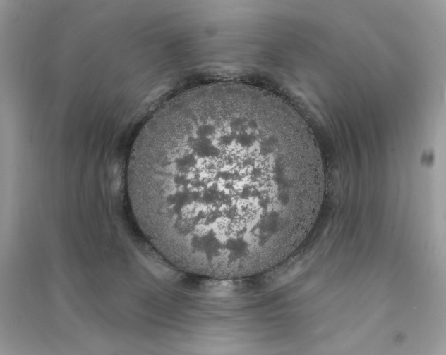X0000090770131200708101818