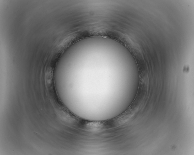 X0000090770133200708101818
