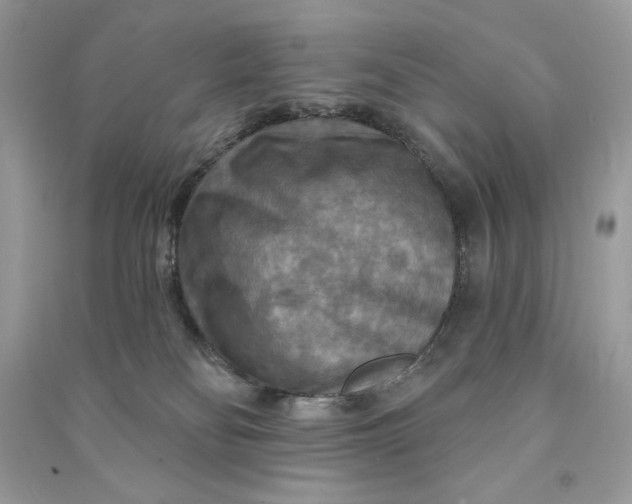 X0000090770134200708101818