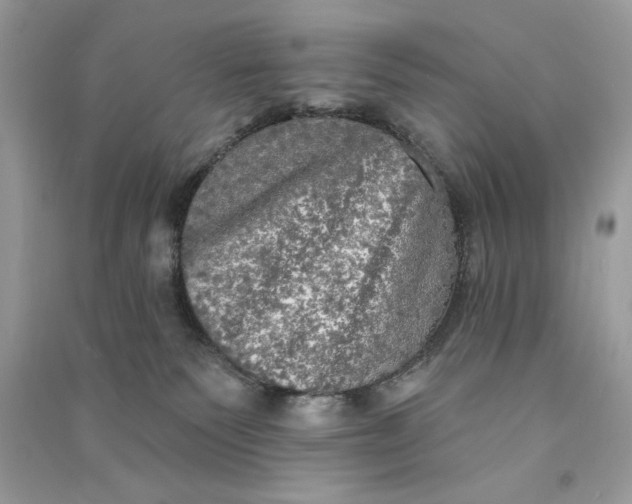 X0000090770135200708101818