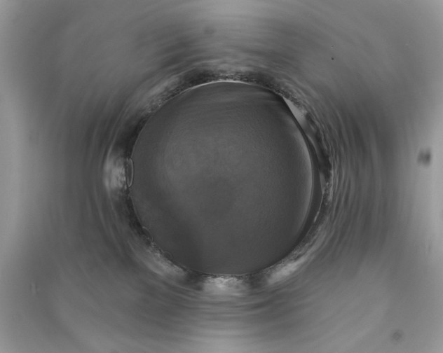 X0000090770137200708101818