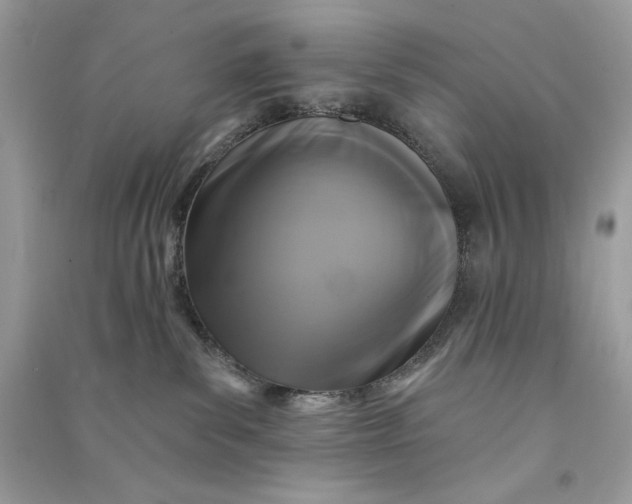 X0000090770139200708101818