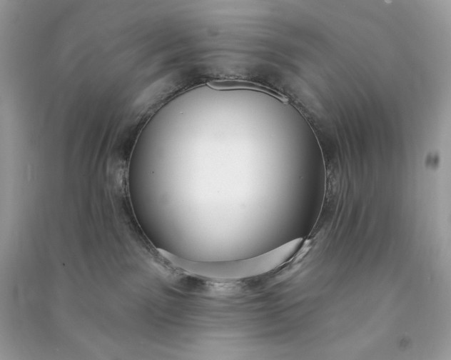 X0000090770141200708101818
