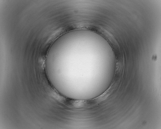 X0000090770142200708101818