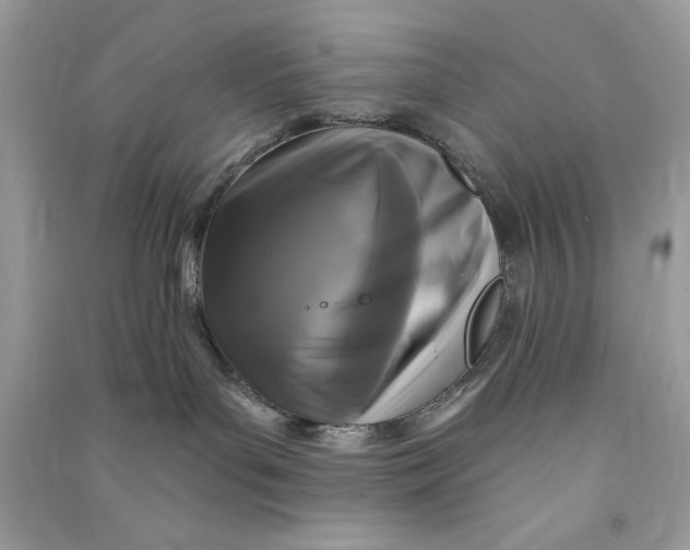 X0000090770143200708101818