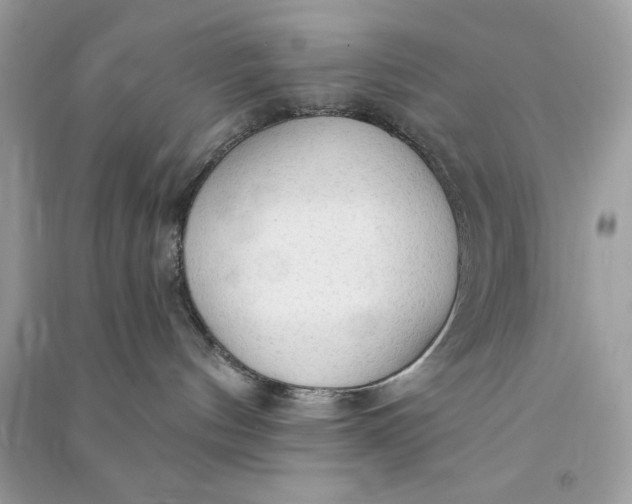 X0000090770144200708101818