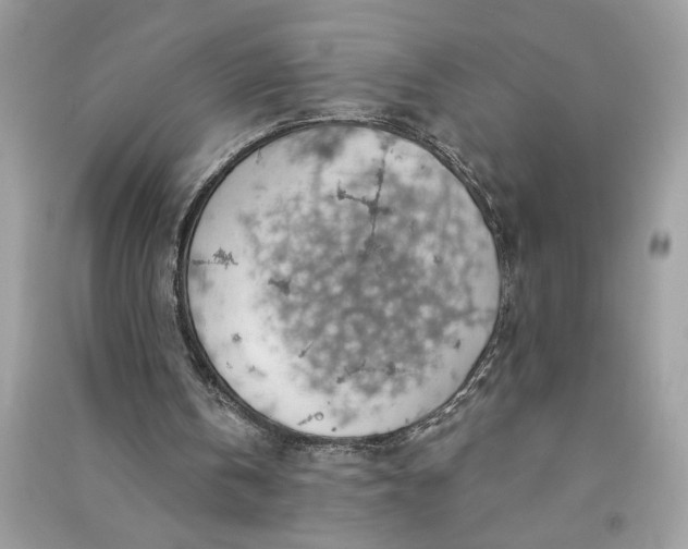 X0000090770146200708101817