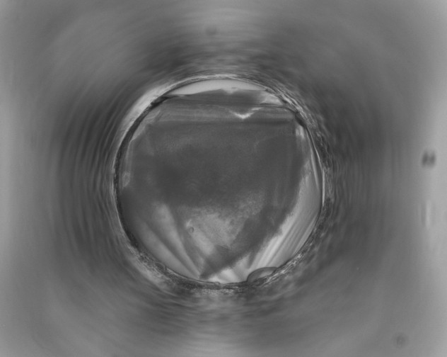 X0000090770147200708101817
