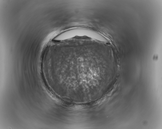 X0000090770149200708101817