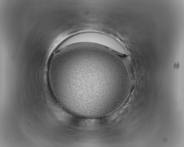 X0000090770152200708101818