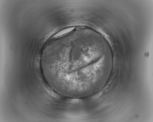 X0000090770153200708101818
