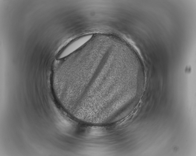 X0000090770154200708101818