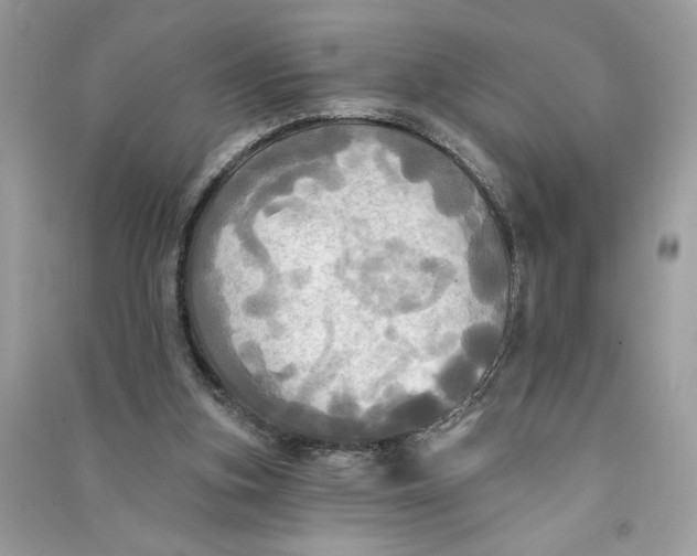 X0000090770155200708101818