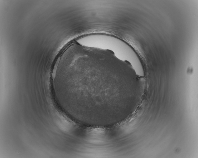 X0000090770156200708101818