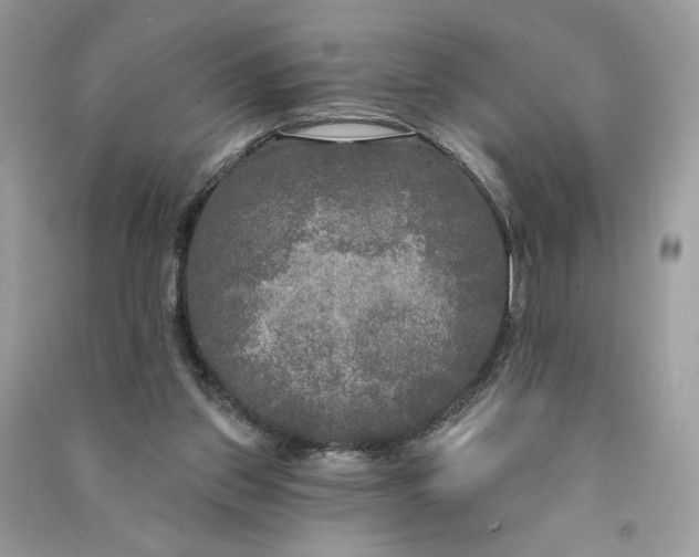 X0000090770157200708101818