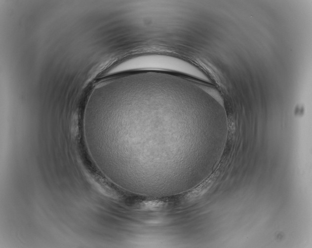 X0000090770158200708101818