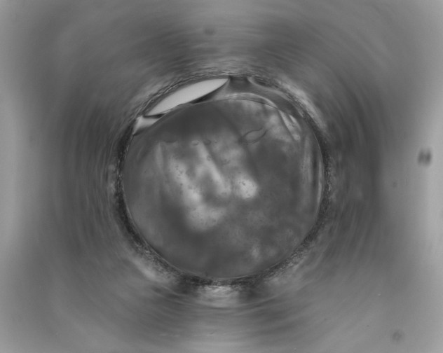 X0000090770161200708101818