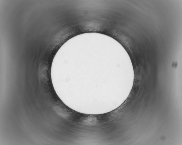 X0000090770162200708101818