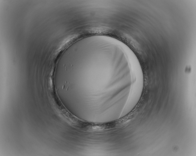 X0000090770163200708101818