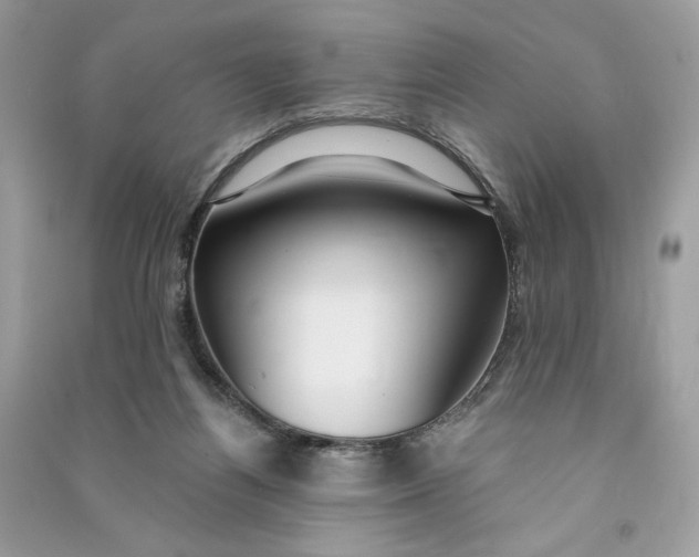X0000090770164200708101818