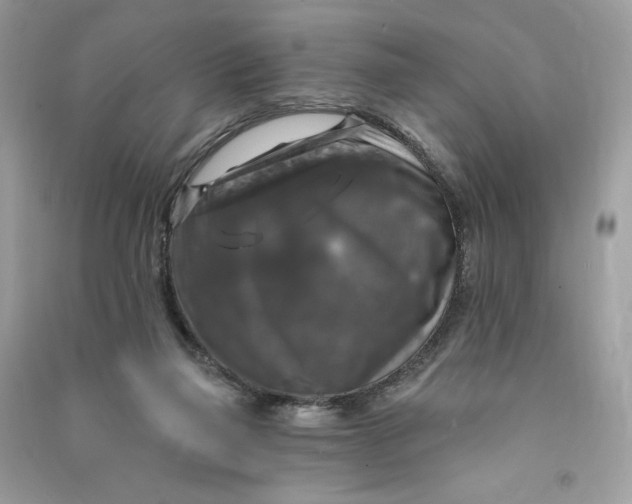 X0000090770165200708101818
