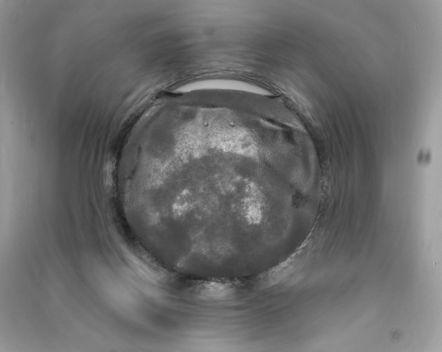 X0000090770166200708101818