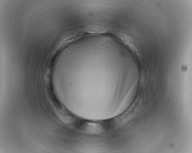 X0000090770167200708101818