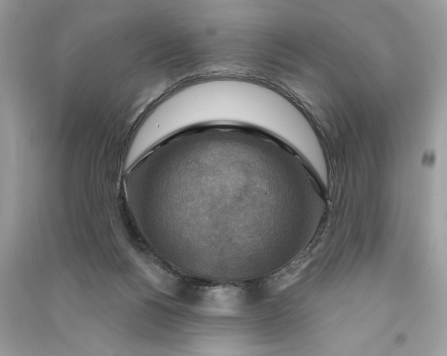 X0000090770168200708101818