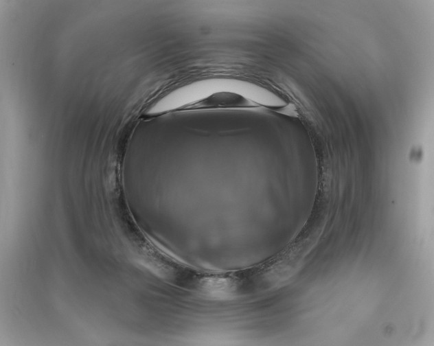 X0000090770169200708101818
