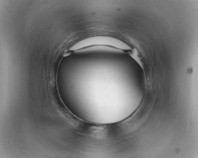 X0000090770170200708101818