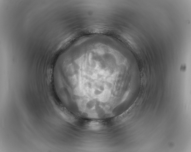 X0000090770171200708101818
