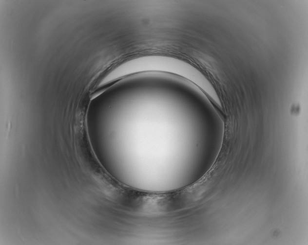 X0000090770172200708101818
