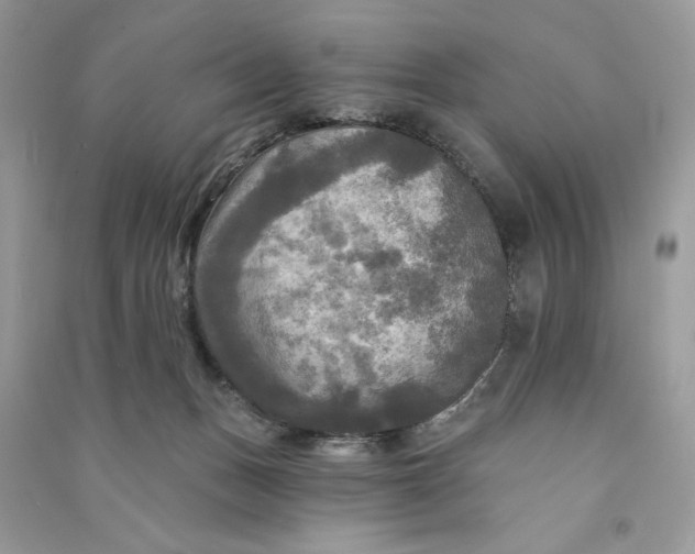 X0000090770175200708101818