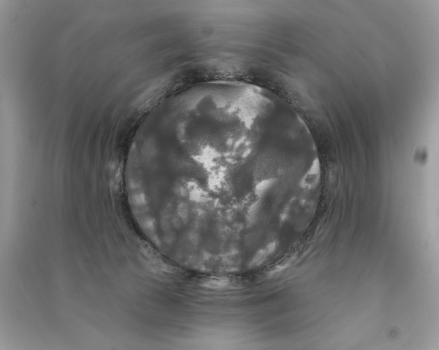 X0000090770177200708101818
