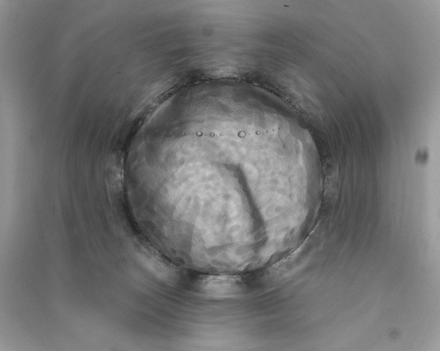 X0000090770179200708101818