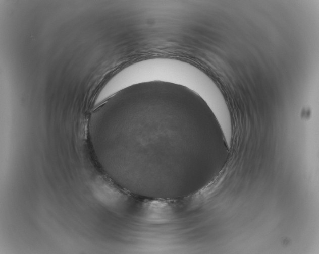 X0000090770180200708101818