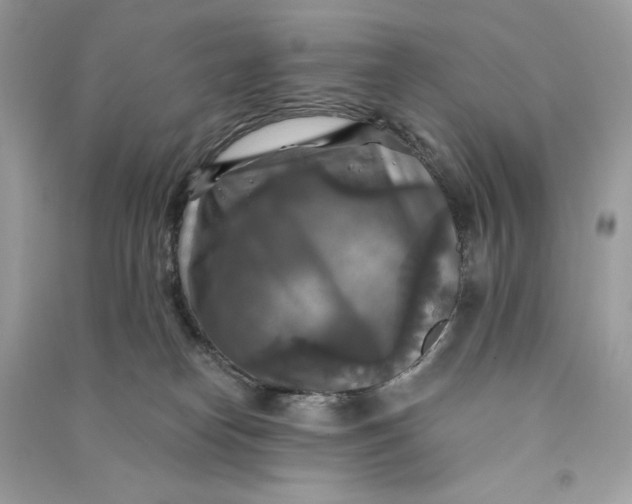X0000090770182200708101818