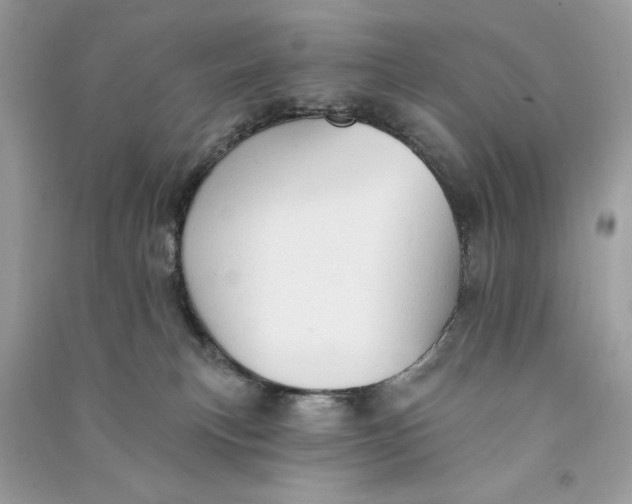 X0000090770183200708101818