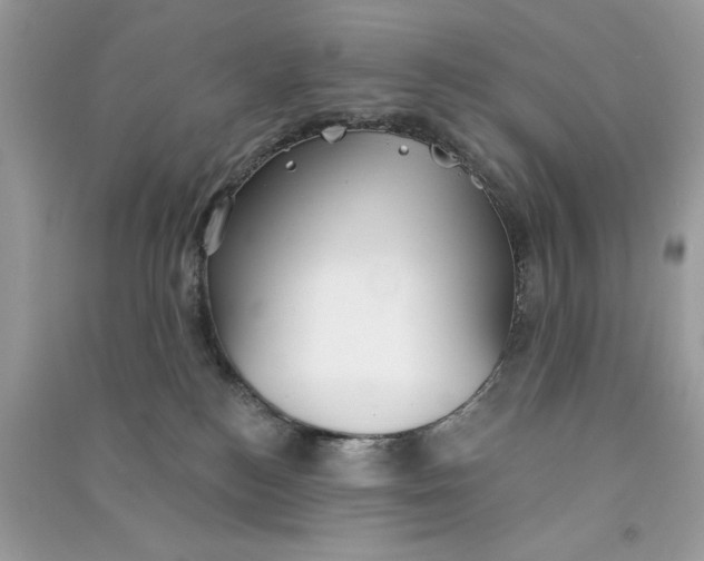 X0000090770184200708101818
