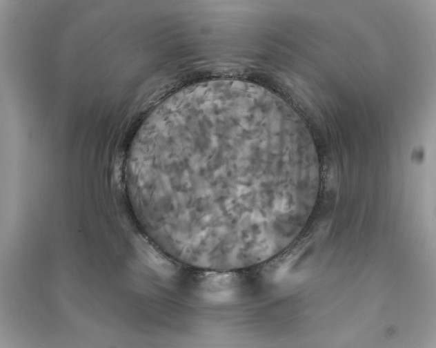 X0000090770185200708101818