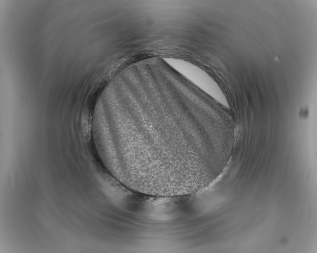 X0000090770186200708101818