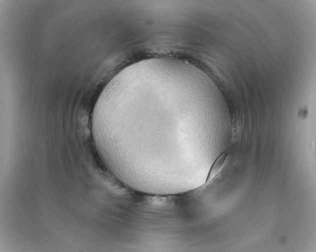 X0000090770187200708101818