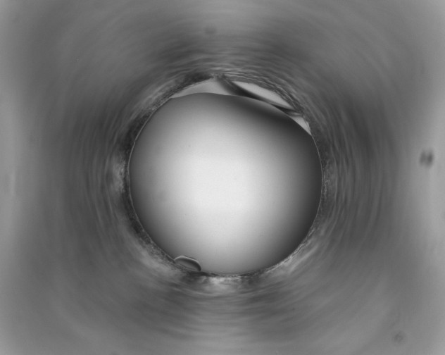 X0000090770188200708101818