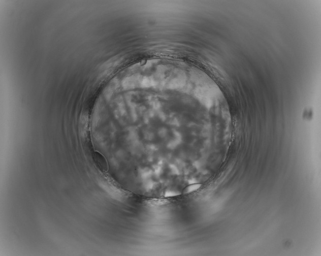 X0000090770189200708101818