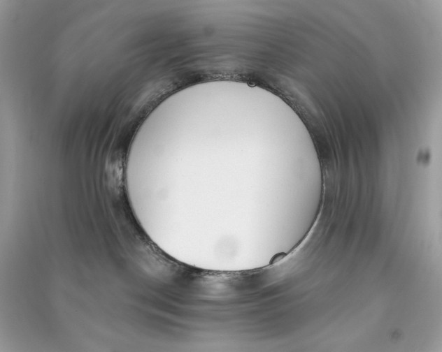X0000090770190200708101818