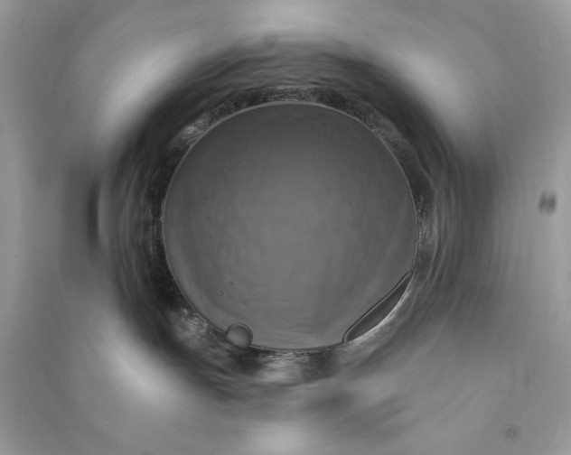 X0000090770191200708101818